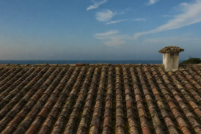 Illustration: before, the same clay tile roof with algae, moss and black spots