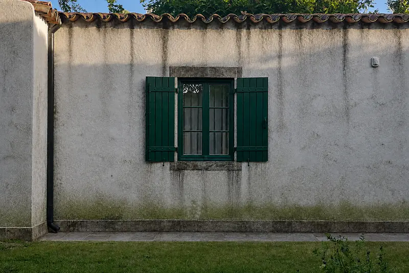 Illustration: before, the same white villa wall with algae, moss and black spots