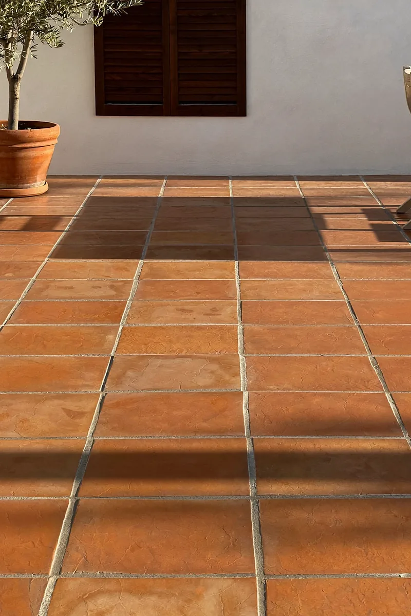 Illustration: Terracotta terrace with a table, chairs and an olive tree at a villa