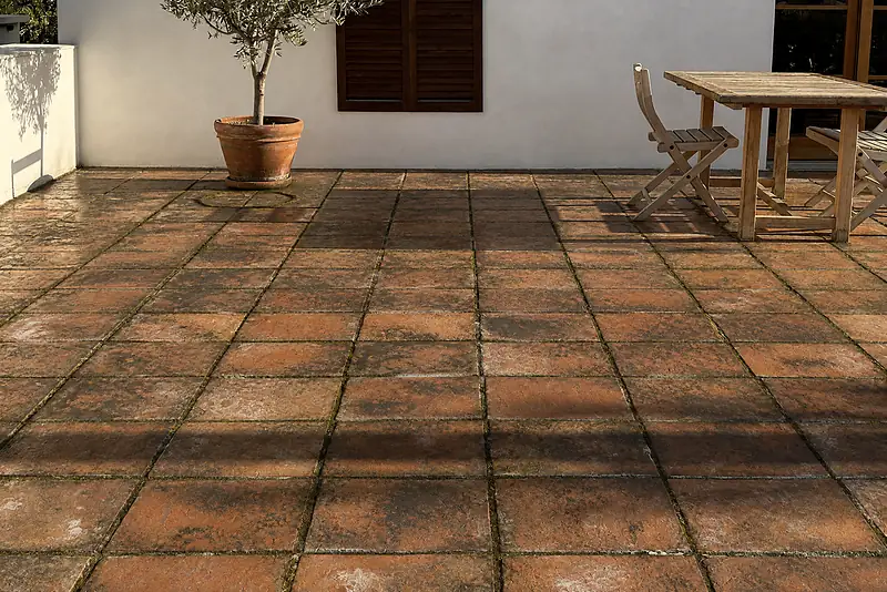 Illustration: before, the same terracotta terrace with algae, moss and black spots